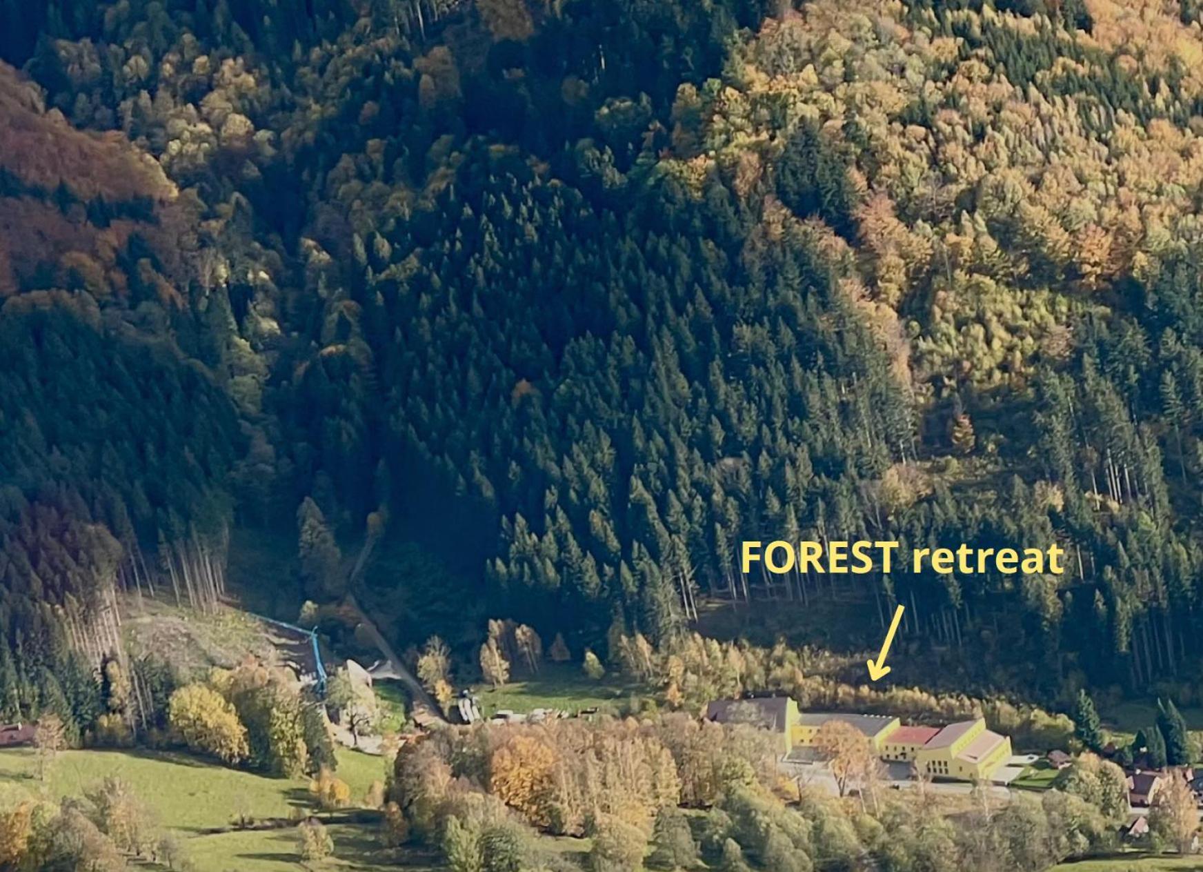 Apartmany New Forest Retreat - U Lesa, S Parkovanim, 300Mbit Internet Jeseník Exteriér fotografie